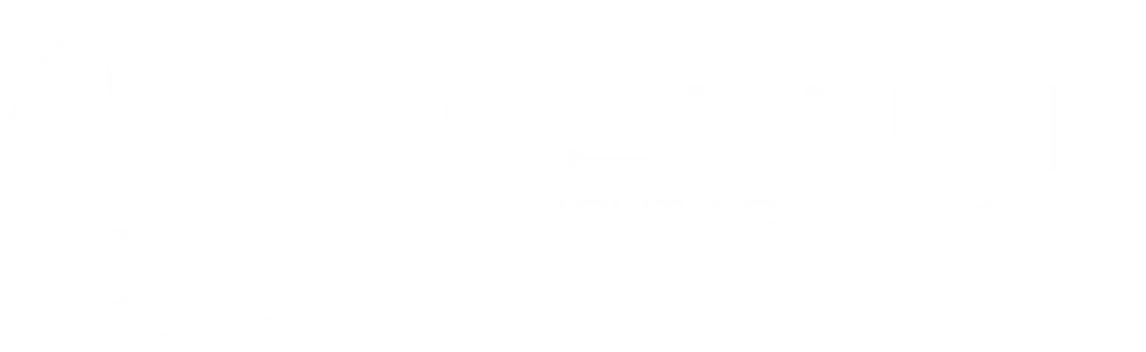 Essence Flight Academy White Logo